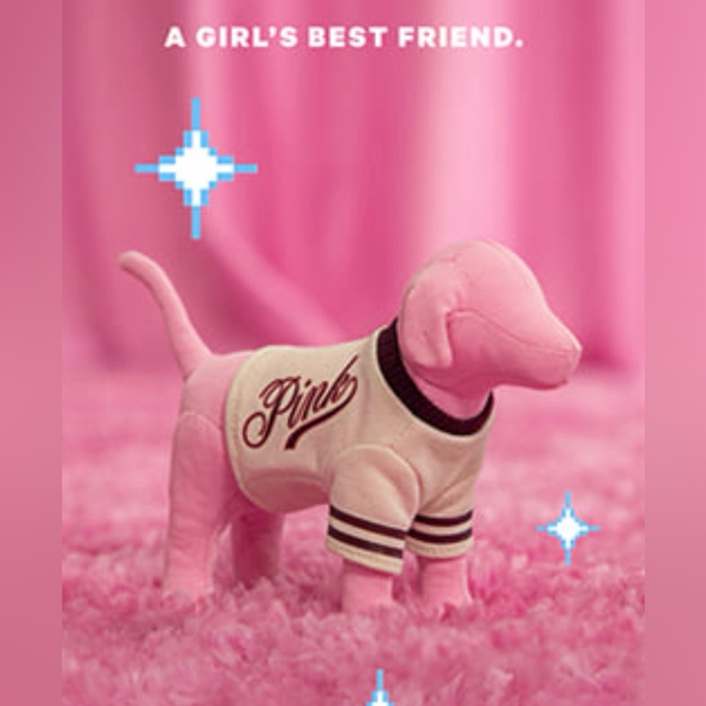 Victoria’s Secret PINK mini dog